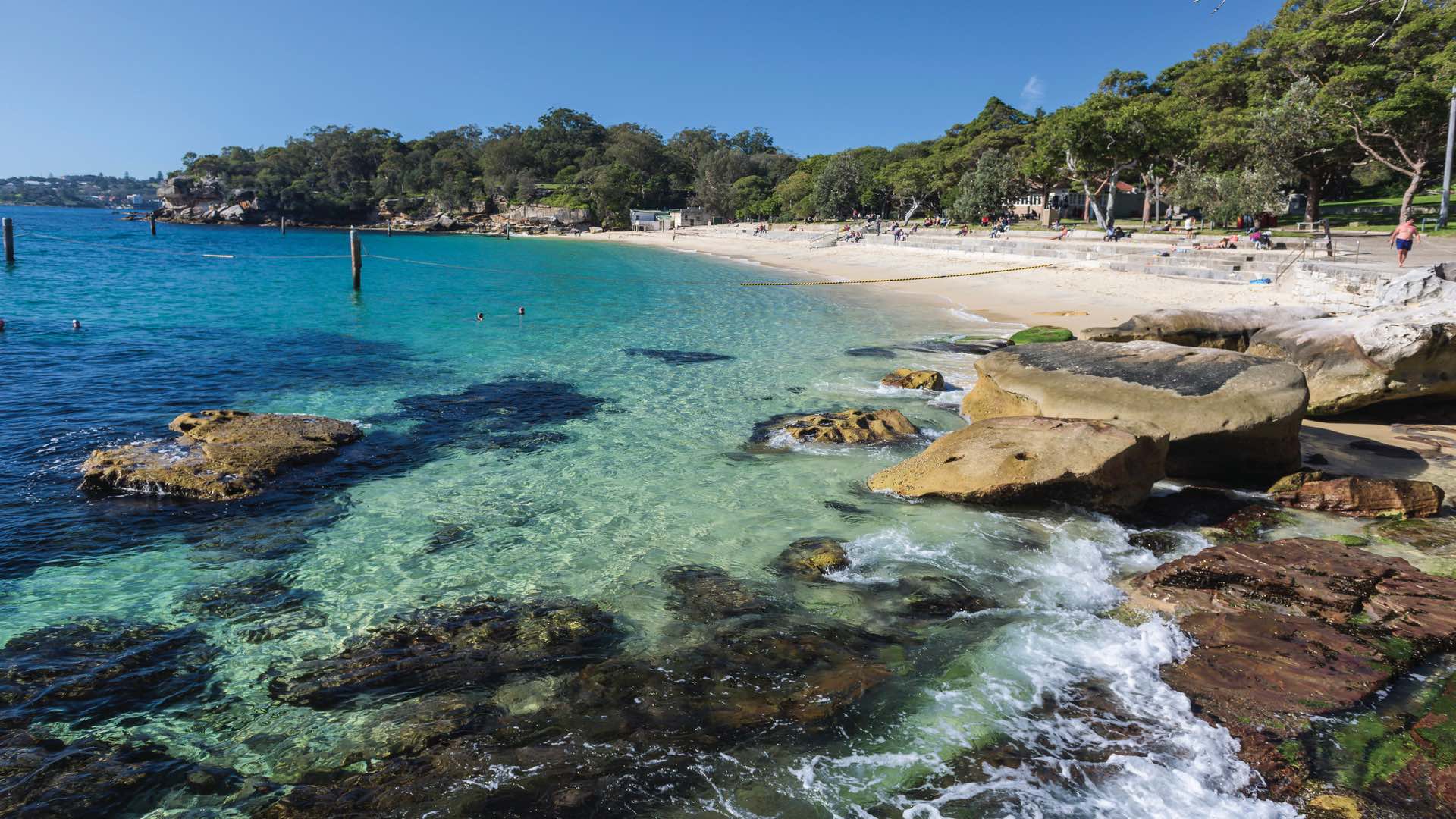 Shark Beach