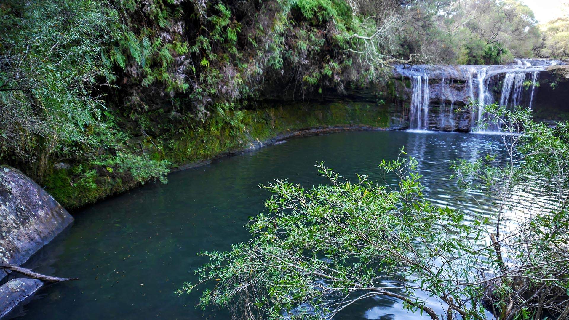 Waterfalls in Sydney - swim in Sydney - Nellies Glen